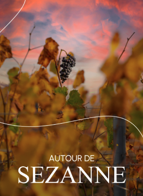 Autour de Sezanne